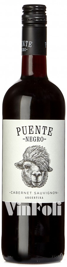Giet Voorwoord Besmetten Rode wijn Argentinië Puente Negro, Mendoza, Cabernet Sauvignon